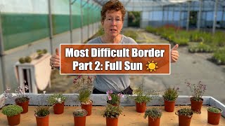 What to Plant in Narrow Arid amp Sunny Cottage Garden Borders  The Coffin Border Part 2 [upl. by Desberg]