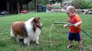 baby and dog play with hose [upl. by Sheree]