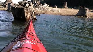 Lake Keechelus Stump Forest Kayaking [upl. by Anifled608]