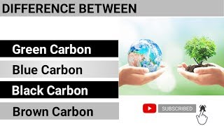 Difference Between Green Carbon Blue Carbon Black Carbon amp Brown Carbon  Environmental Science [upl. by Anitroc]