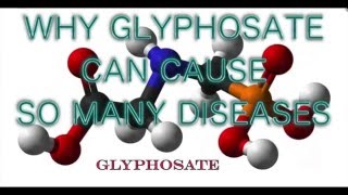 GLYPHOSATE SYNTHETIC AMINO ACID ANALOG THAT RANDOMLY WREAKS HAVOC IN BIOLOGY [upl. by Lehcim696]