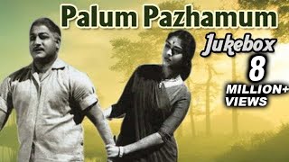 Palum Pazhamum Tamil Movie Songs Jukebox  Sivaji Ganesan Saroja Devi  Classic Songs Collection [upl. by Taub]