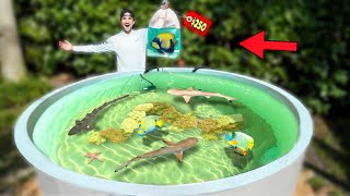 Buying Expensive SEA CREATURE For My Backyard SALTWATER POND [upl. by Drawd149]