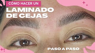 Cómo hacer un laminado de cejas paso a paso [upl. by Ahsenwahs]