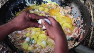 Egg Fried Rice 101 Eggs  Country Foods [upl. by Hocker]