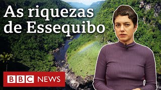 Essequibo as riquezas da região da Guiana que a Venezuela quer anexar [upl. by Gal]