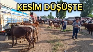 04 HAZİRAN SALI KIRIKKALE HAYVAN PAZARI SON DURUM [upl. by Jacquelin536]