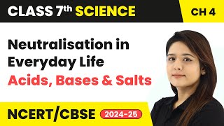 Neutralisation and Neutralisation in Everyday Life  Acids Bases and Salts  Class 7 Science Ch 4 [upl. by Nosdrahcir485]