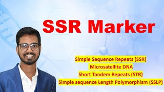 SSR Marker  Simple sequence Repeat Marker  SSLP  Short tandem Repeat STR Microsatellite DNA [upl. by Barstow221]