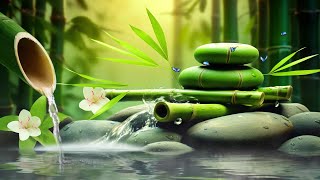 Relaxing Sleep Music  Insomnia Stress Relief Relax Sleep Spa amp Meditation Music Heart Healing [upl. by Raddy]