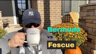 Bermuda vs Fescue Which is better [upl. by Hiller793]