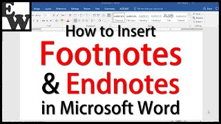 How to Insert Footnotes and Endnotes in Microsoft Word [upl. by Haodnanehs]