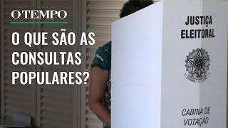 ELEIÇÕES 2024 saiba quais são os cinco municípios que terão consultas populares durante 1° turno [upl. by Nerrol917]