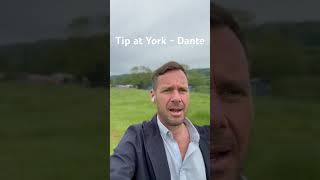 Horse Tip From York  Dante horsetips yorkracecourse [upl. by Elum]