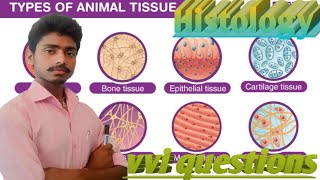 Animal tissue types of animal tissue details of al l types of animal tissue most vvi topic bb [upl. by Sidran782]