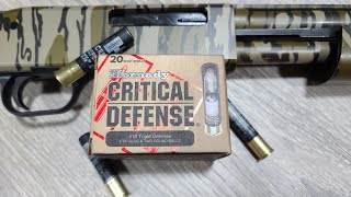 Hornady Critical Defense 410 Triple Defense In A Shotgun Shockingly Good Results [upl. by Peh]