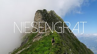 Niesengrat  Challenging Ridge Hike From Niesen Via Fromberghorn to Mäggisserenhorn  Bernese Alps [upl. by Richella473]