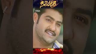 shorts  NTR reminding Nassar words to BhanuChandar Simhadri ntrmovies simhadri4k ntr30 [upl. by Yllop626]