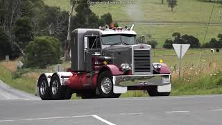 Peterbilt Needlenose at Longwarry 2 2 2020 Heyfield 15 5 2022 Lardner Park 5 2 2023 [upl. by Hedi125]