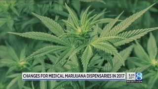 MI medical marijuana dispensaries legal in 2017 [upl. by Thoer889]