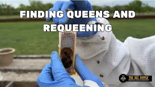 How to Find a Queen and Requeen a Hive in ONE VISIT  BEEKEEPING WITH TBS [upl. by Uthrop]