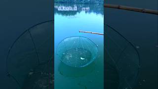 Amazing Fishing Idea 🥰 shorts ytshorts [upl. by Kahle957]