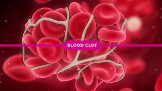 Coagulation Cascade Explained [upl. by Philps]