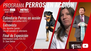 “Perros en acción” Programa Nº 476 [upl. by Lewap]