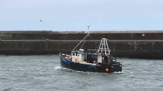 Fraserburgh Harbour 20231209 [upl. by Behre551]