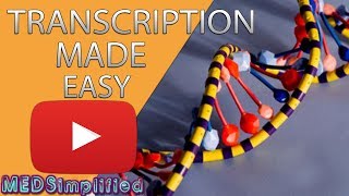 Transcription Made Easy From DNA to RNA 2019 [upl. by Cirded]