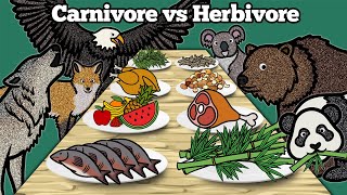 Carnivore vs Herbivore Animals  Learn What Animals Eat In The Forest  Drawing and Coloring Animals [upl. by Dacy]