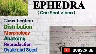 Ephedra Morphology Anatomy Reproduction Gymnosperm Ephedra Notes Ephedra mscbotany [upl. by Eserahs948]