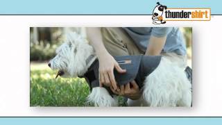 Thundershirt Gray Dog Anxiety Treatment Shirt at Bed Bath amp Beyond [upl. by Alyk]