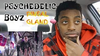 psychedelic boyz pineal gland reaction [upl. by Peder834]