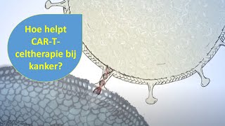 Animatie CARTceltherapie immuuntherapie  Hulpmiddel bij bloedkanker uitgelegd [upl. by Iroak641]