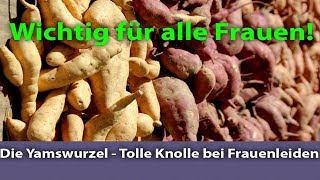 DIe Yamswurzel  Tolle Knolle bei Frauenleiden [upl. by Colner953]