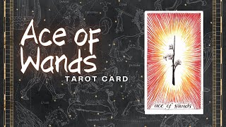 Ace of Wands Tarot Card [upl. by Assilam450]