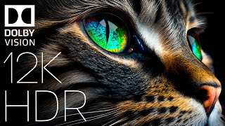 WORLD OF ANIMALS IN DOLBY VISION™  HDR 12K 60FPS TRUE CINEMATIC [upl. by Kenn]