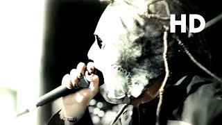 Slipknot  Surfacing Official Music Video HD [upl. by Cataldo]