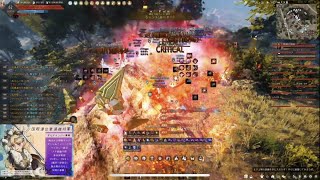 BDO Succession Maegu Siege War Mediah 159kill PvP4黒い砂漠 伝承メグ メディア占領戦 突撃勇士 [upl. by Westney74]