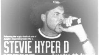 Stevie Hyper D Move Your Body Vidwmv [upl. by Sayles825]