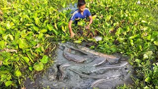 Big Hand Fishing Village Boy Catch Big Monster Catfish In Muddy Water By Hand Catfish Fishing [upl. by Charlot]