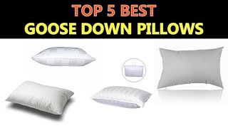 Best Goose Down Pillows 2019  2020 [upl. by Harifaz]