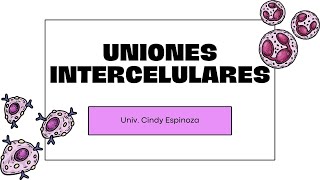 Semana 7  Uniones intercelulares  Señalización celular  Biología  01102023 [upl. by Ludovick]