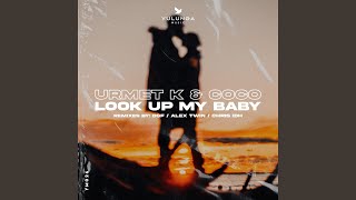 Look Up My Baby DSF Remix [upl. by Eislehc]