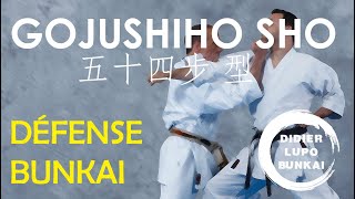 GOJUSHIHO SHO Défense et Bunkaï par Didier Lupo [upl. by Accisej]