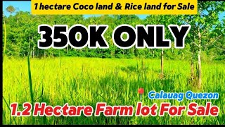 V166🥰 1 Hectare Farm lot 4 sale 350k only nyogan palayan [upl. by Vincent960]