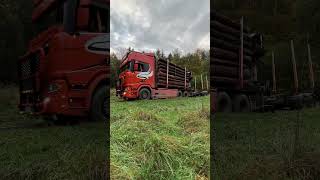 Das macht doch wieder Fun holztransport lkwfahrer orangebeast scania wald rs [upl. by Linehan]