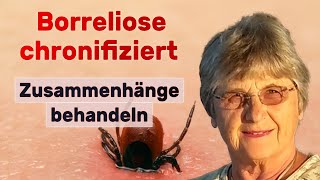 Borreliose Koinfektionen und Cofaktoren testen und behandeln Dr Petra HopfSeidel [upl. by Eyram]