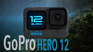 GOPRO HERO 12 Underwater Test  WATCH BEFORE PURCHASING [upl. by Rechaba474]